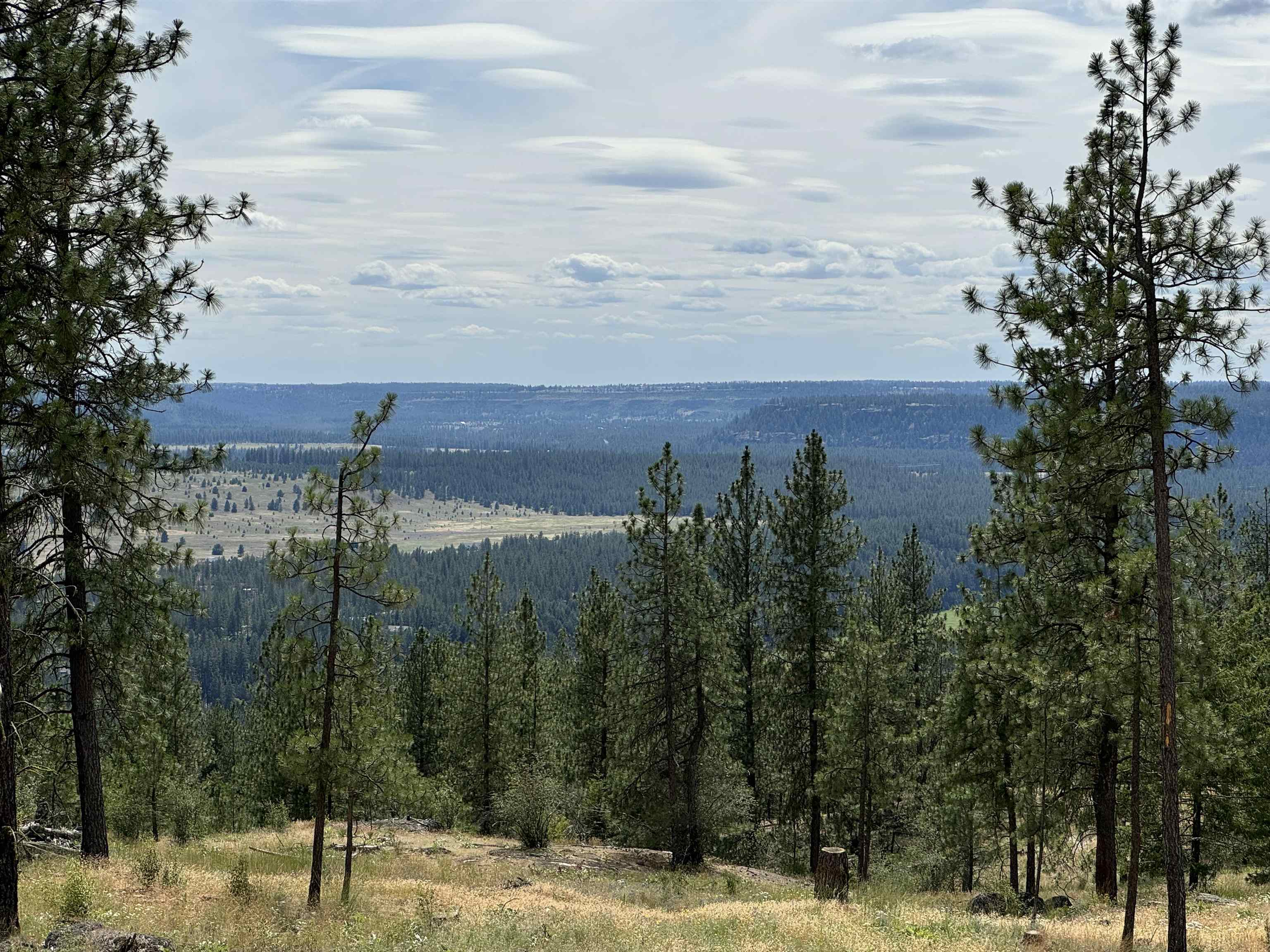 Property Photo:  14812 N Cliff Ln Site 130  WA 99208 