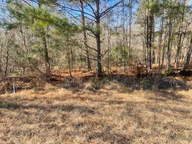 Property Photo:  Lot 8 Black Pearl Drive  GA 30828 