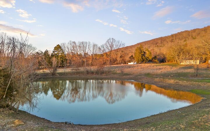 Property Photo:  158 County Road 677  AL 35958