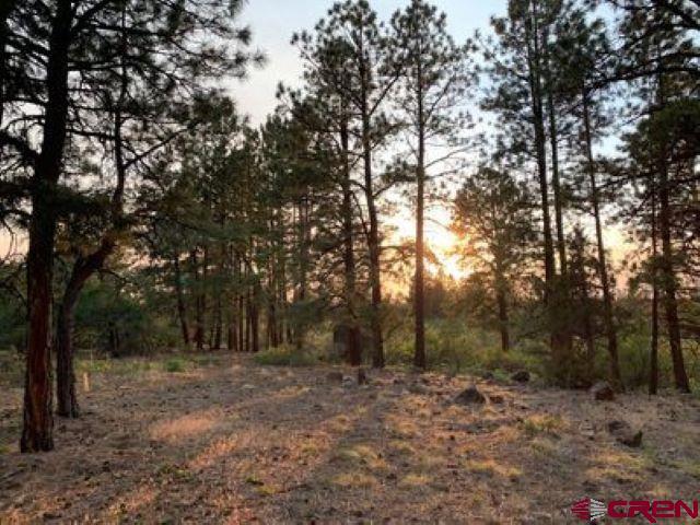 Property Photo:  199 Meadow Lane  CO 81432 