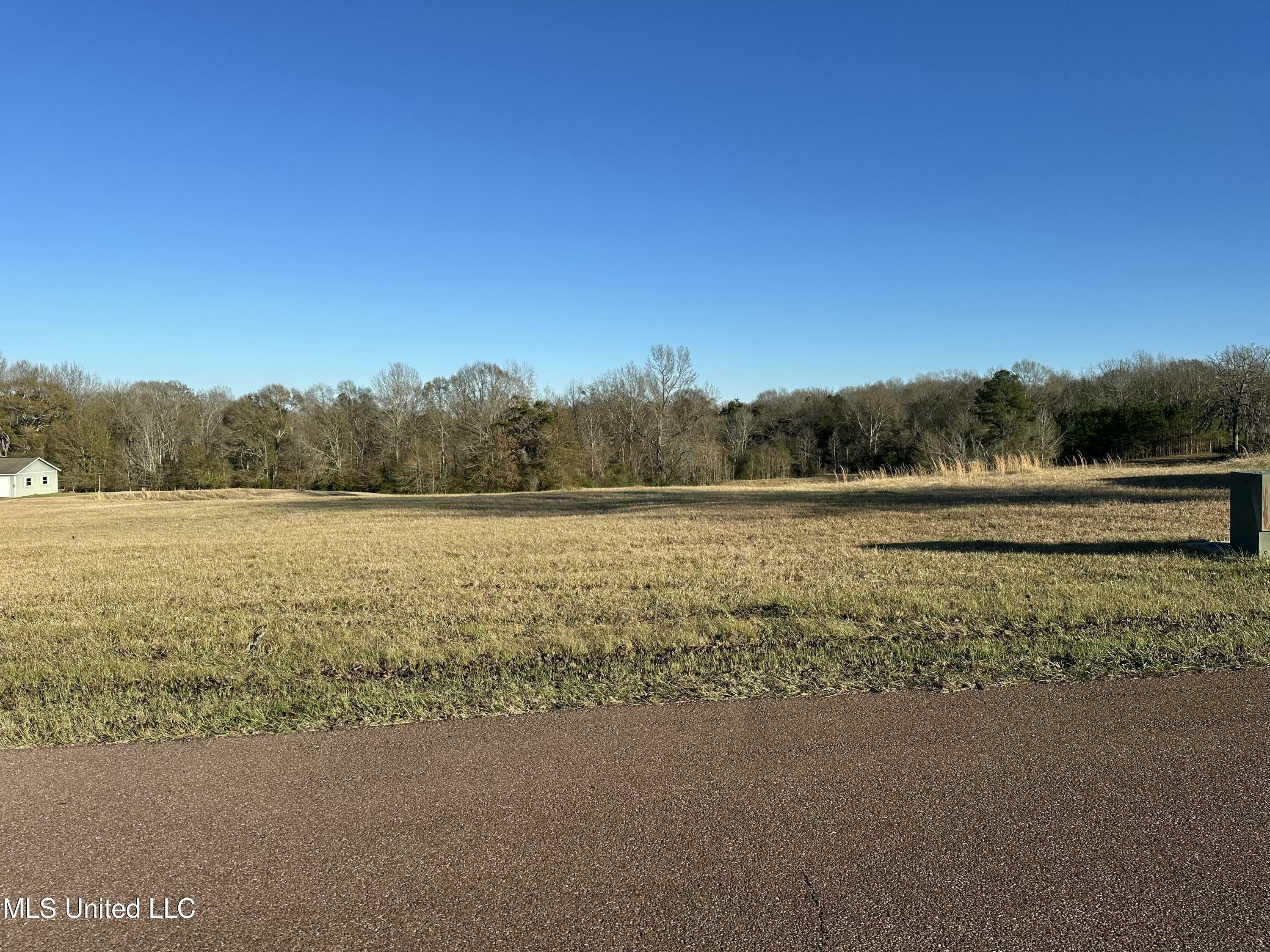 Property Photo:  Meadow Oaks Lane  MS 39056 