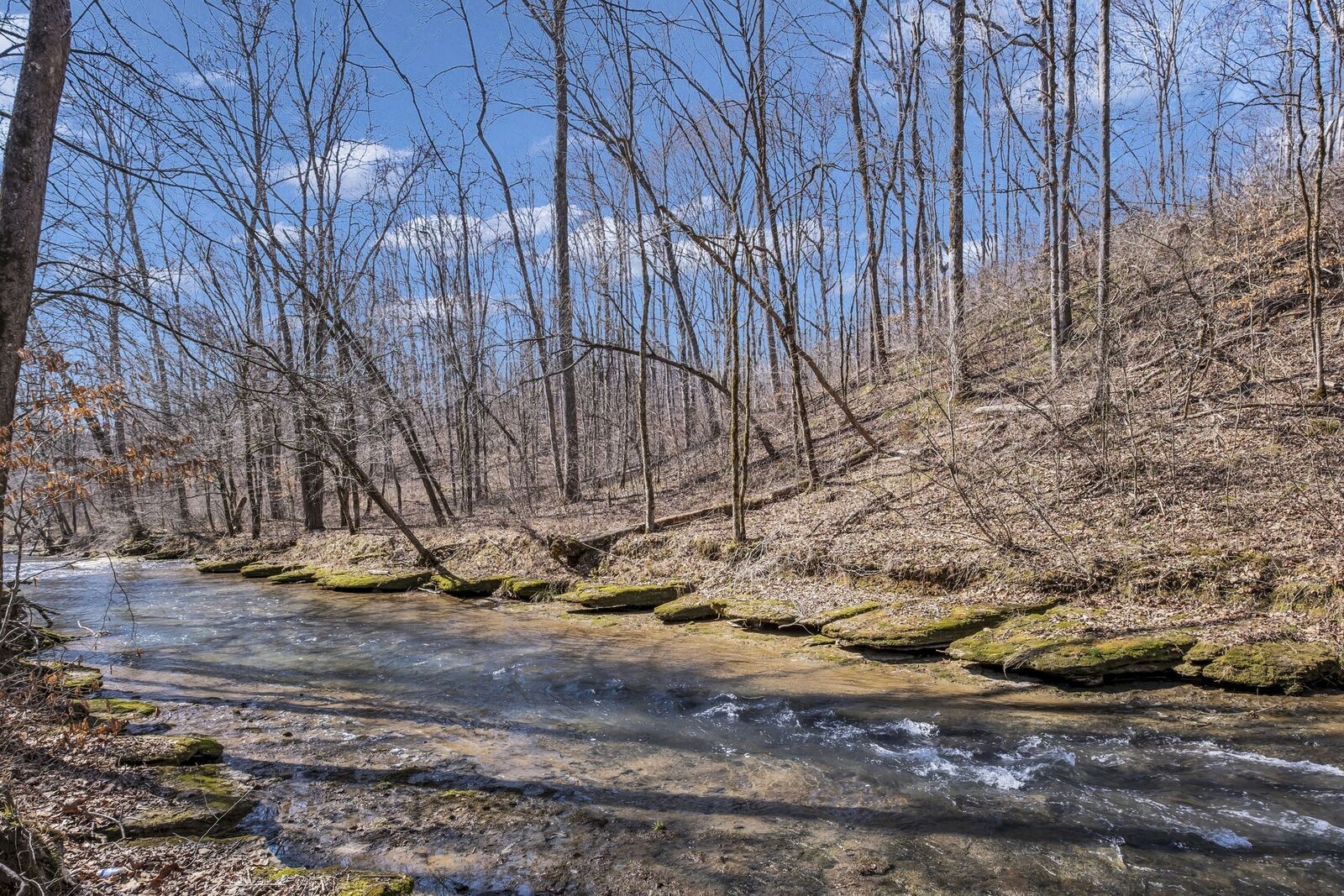 Property Photo:  0 N Chisholm Creek Rd  TN 38464 