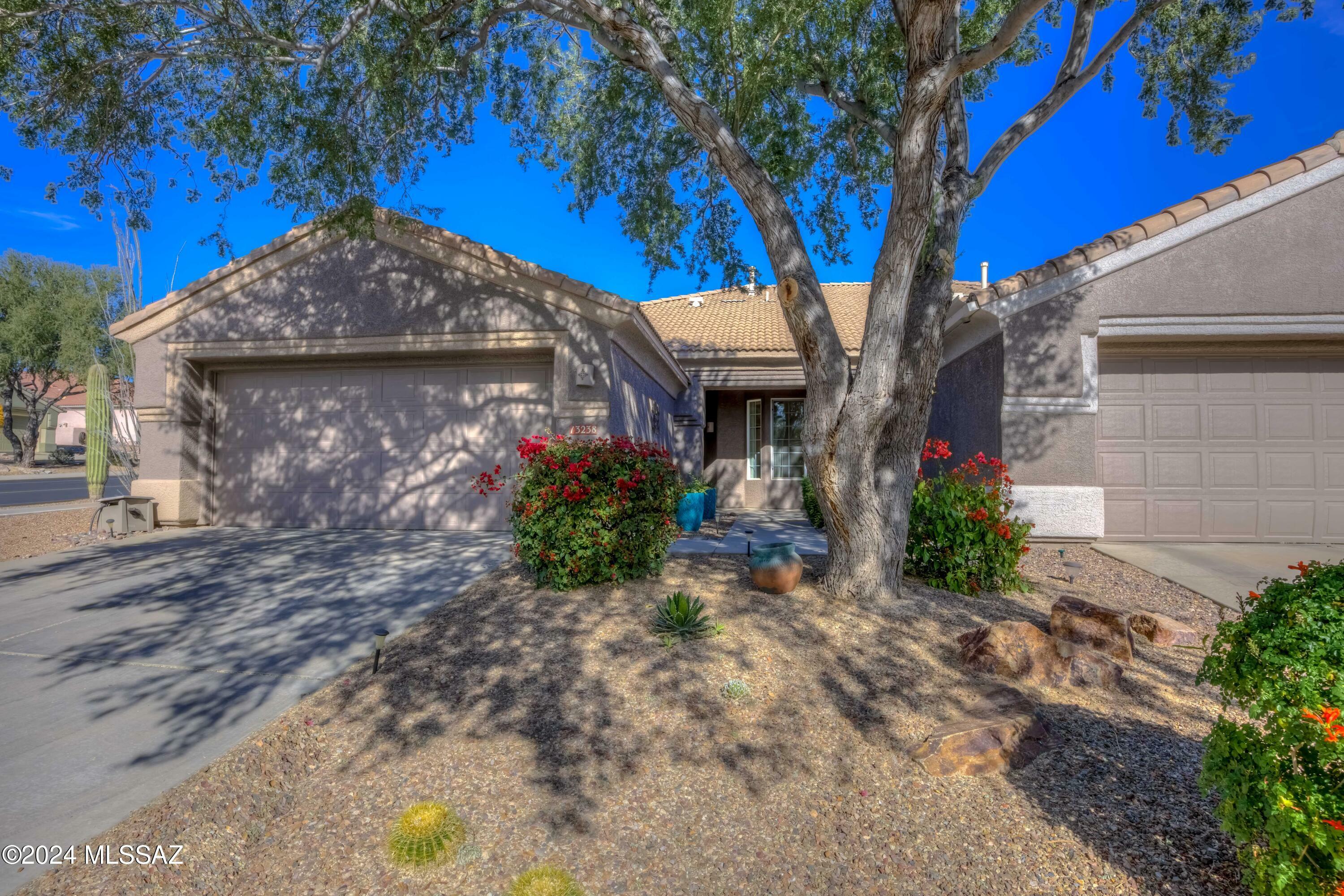 Property Photo:  13238 N Silver Cholla Place  AZ 85658 