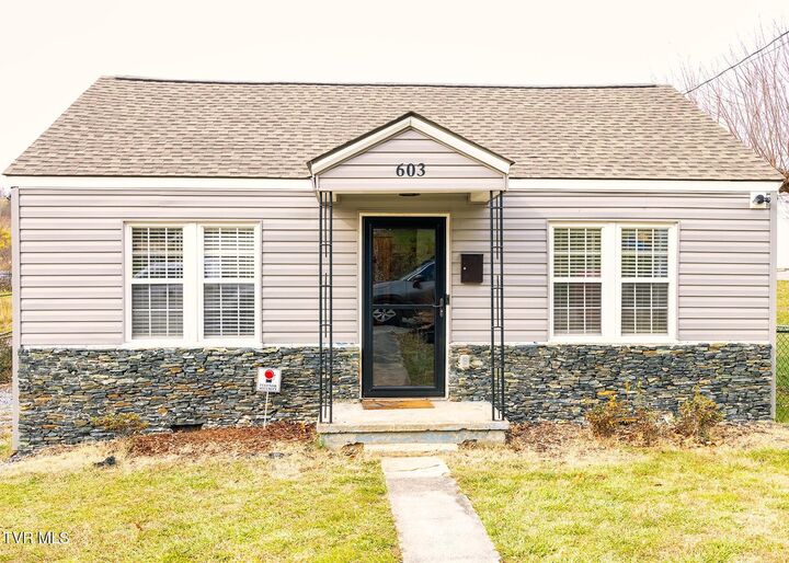 603 Orleans Street  Johnson City TN 37601 photo