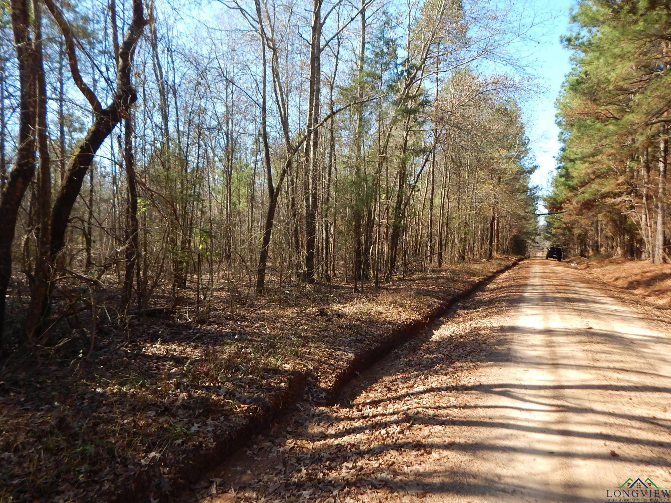Property Photo: 450 County Road 2359 TX 75568