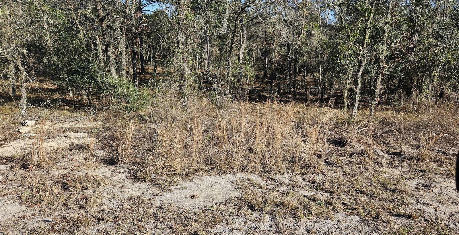 Property Photo:  Lot 34 SW Arrow Leaf Trail  FL 34431 