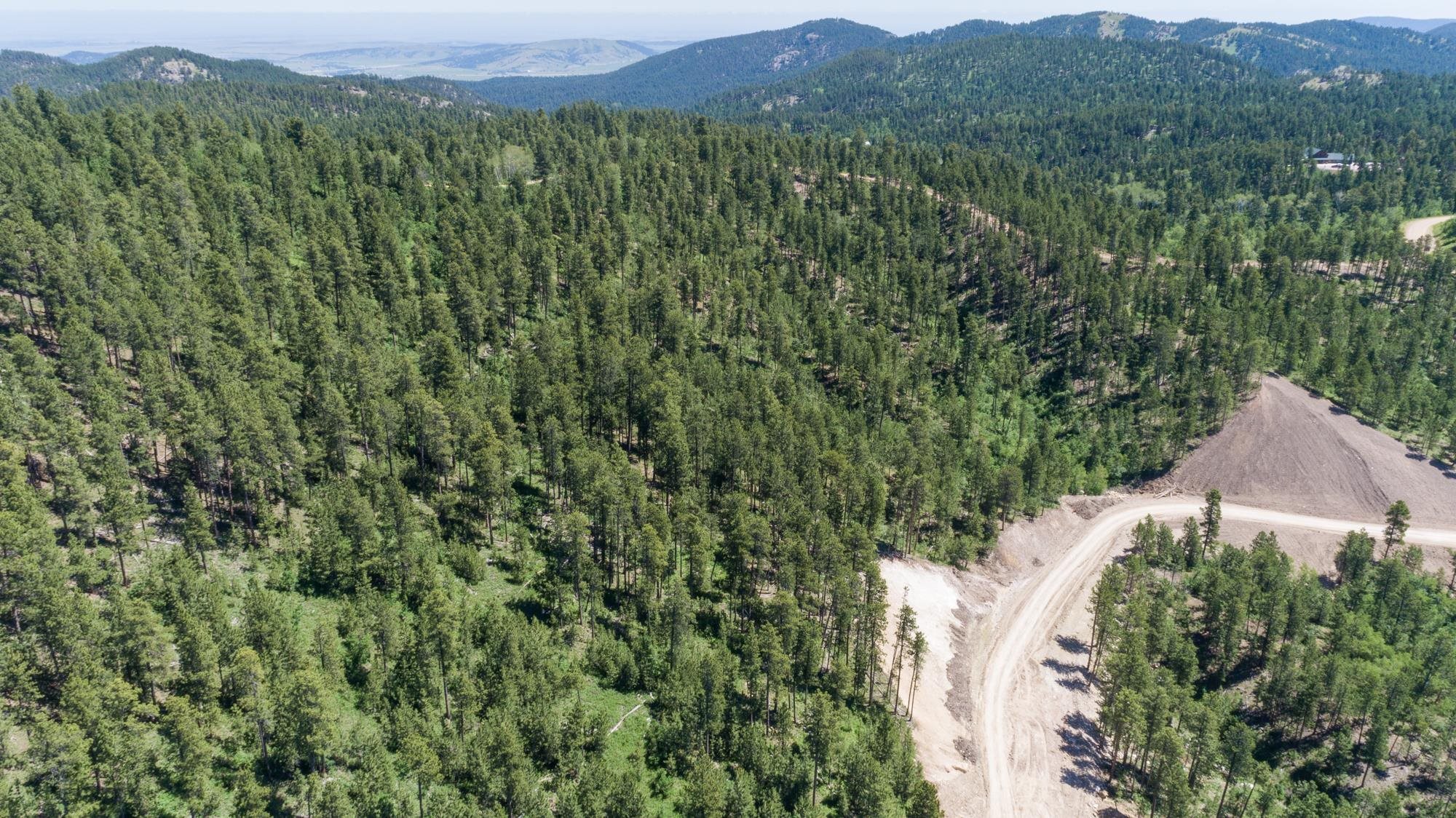 Property Photo:  Lot 115B Paradise Gulch Loop  SD 57754 