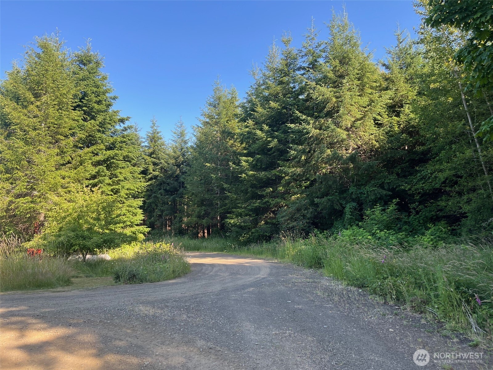 Property Photo:  7  Beaver Hill Lane  WA 98563 