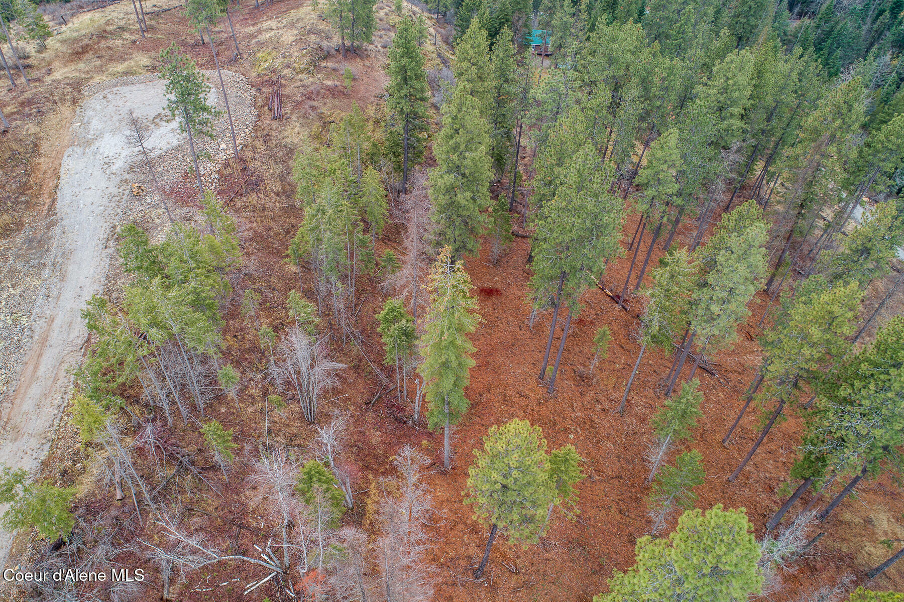 Property Photo:  Lt 4 Blk 1 Red Hawk Landing  ID 83860 