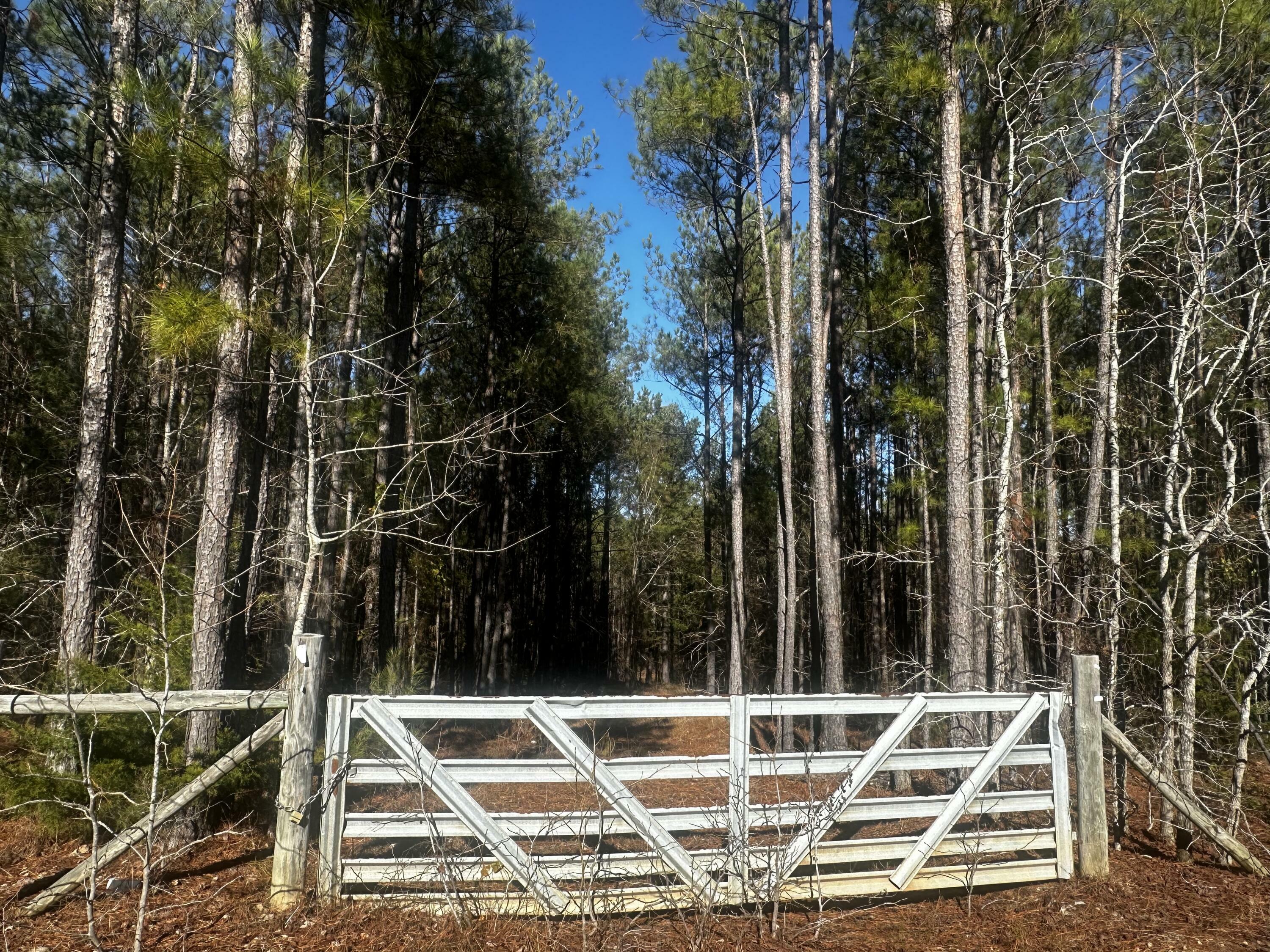 Property Photo:  0 Burks Mountain Road  GA 30802 