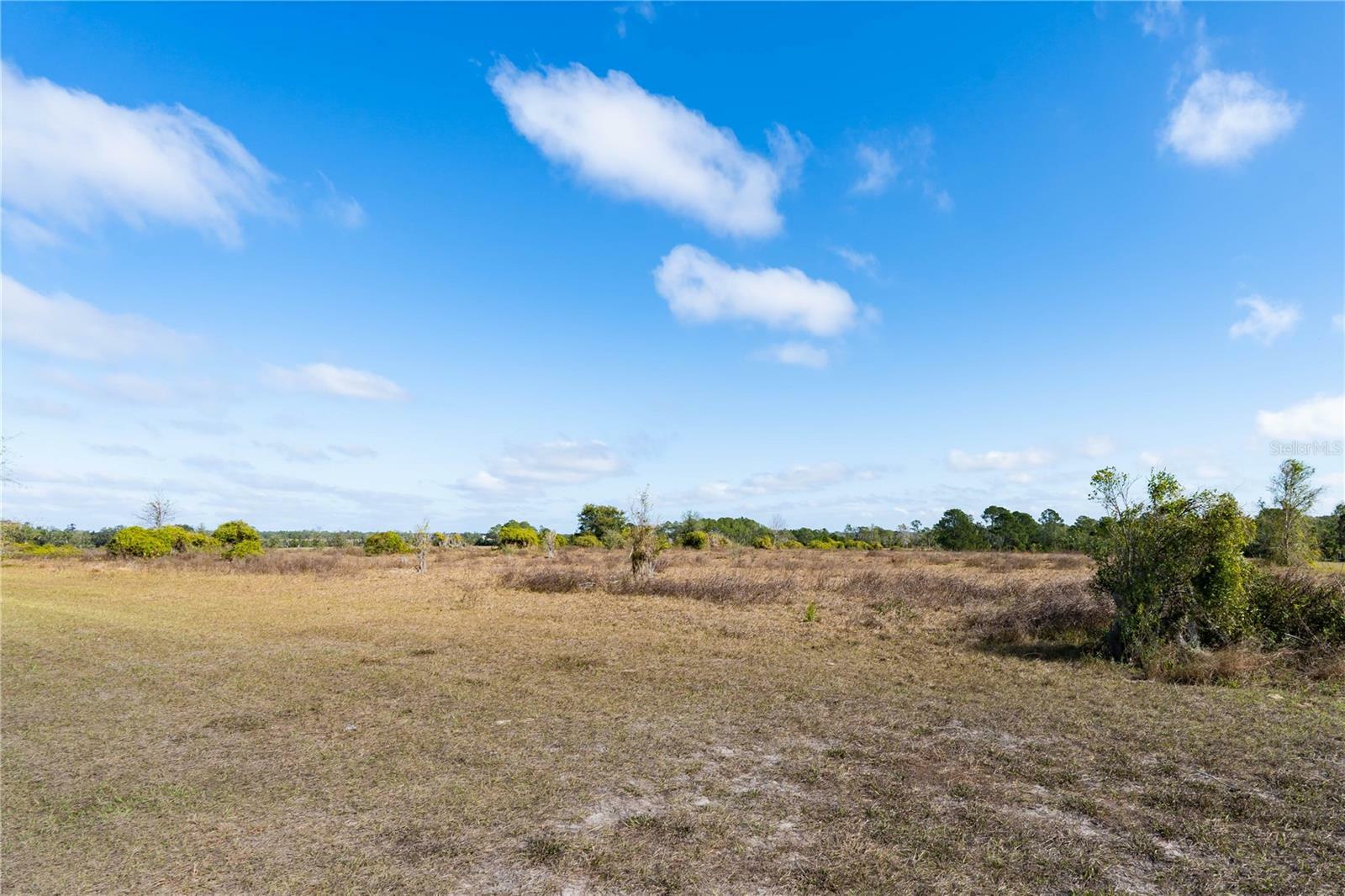 Property Photo: Jameson Farm Road FL 34711