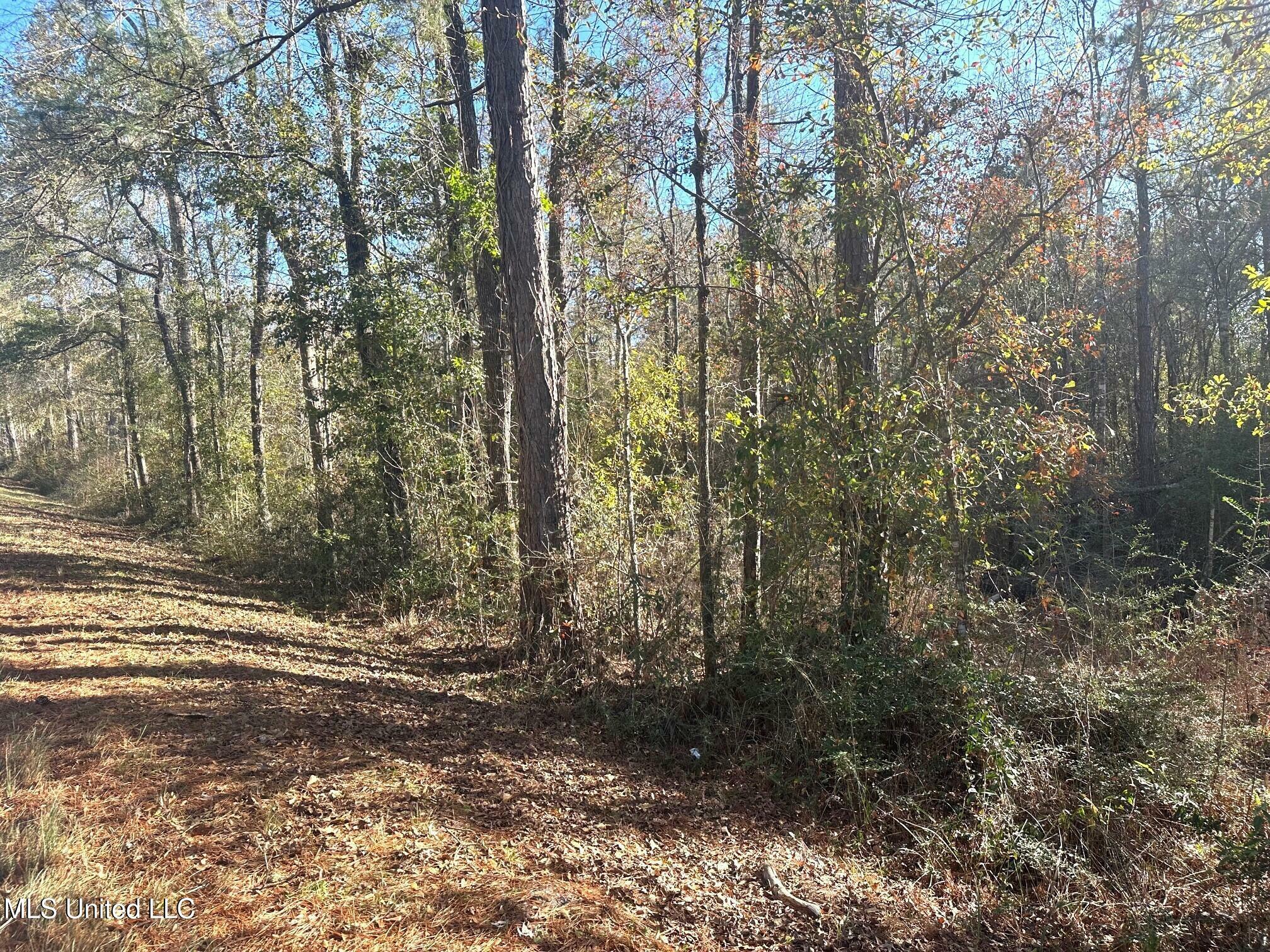 Property Photo:  13ac Old Hwy 26  MS 39452 