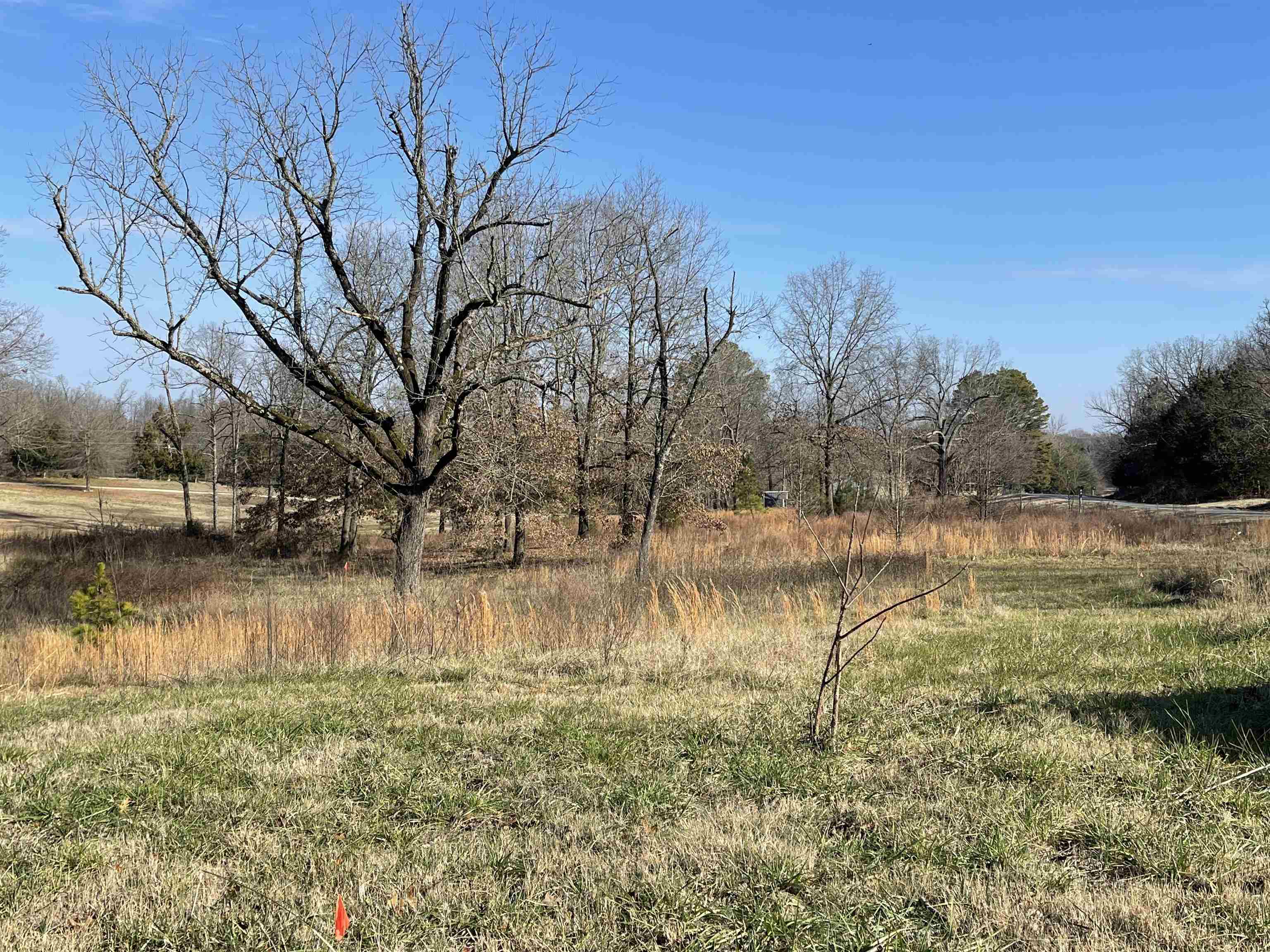 Property Photo: 1477 Hwy 166 S AR 72455