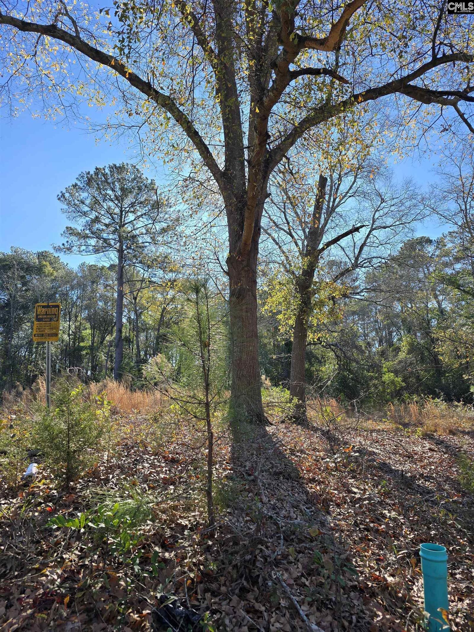 Property Photo:  Lot 7 &Amp 8 Popular  SC 29033 