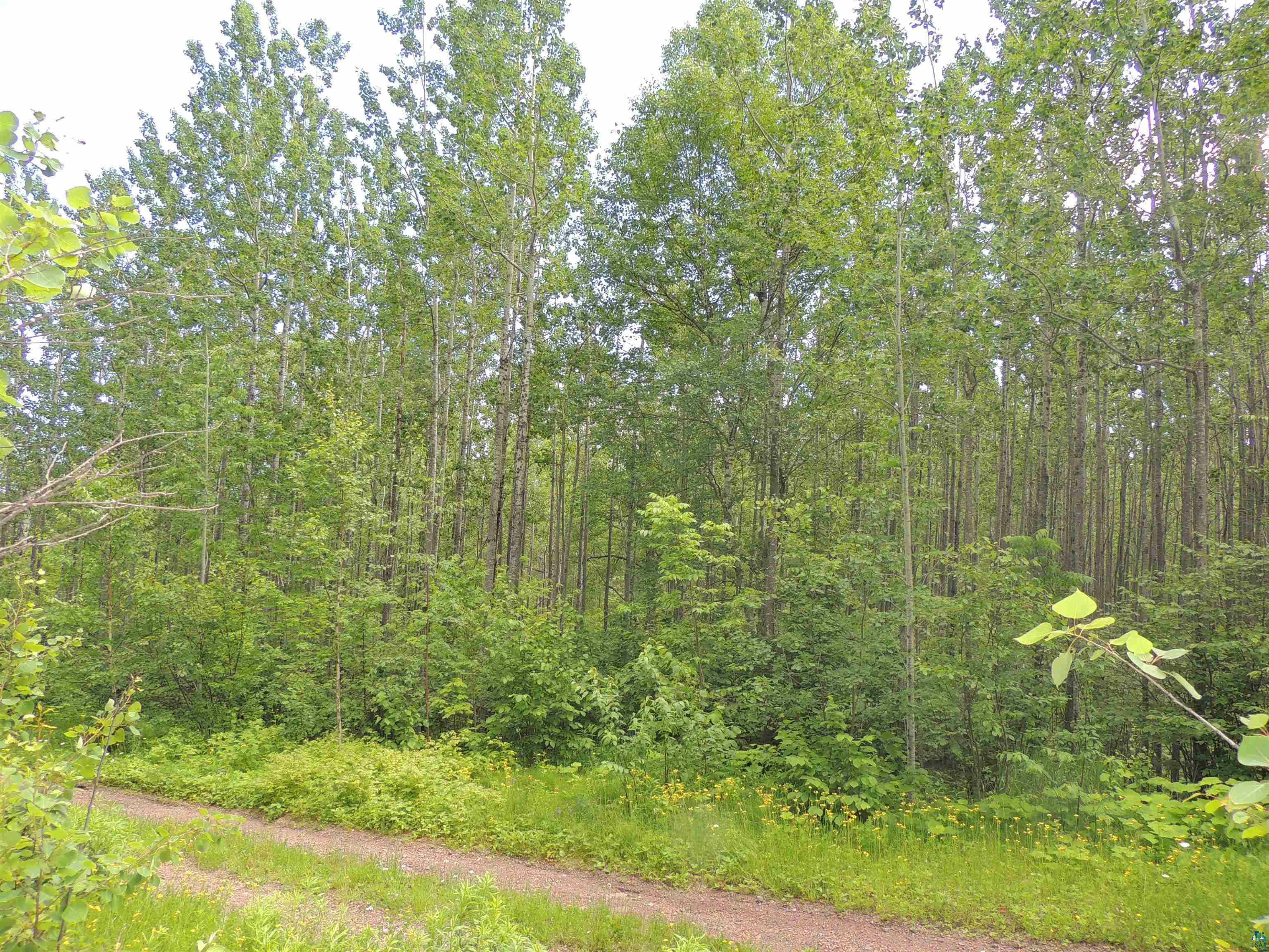 76 Murphy Dr Lot 3 Block 1  Grand Marais MN 55604 photo