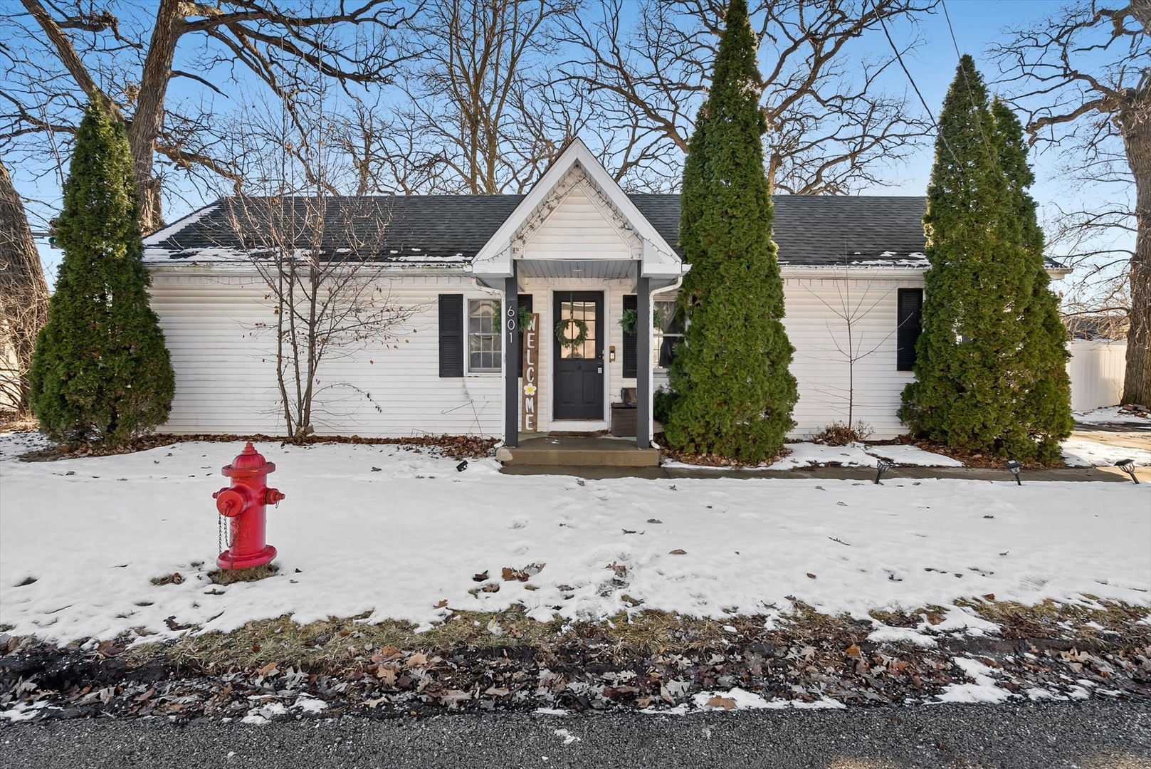 Property Photo: 601 Cottage Street IL 60404