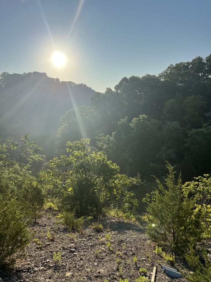 Property Photo:  0 Burkesville Hwy  TN 38551 