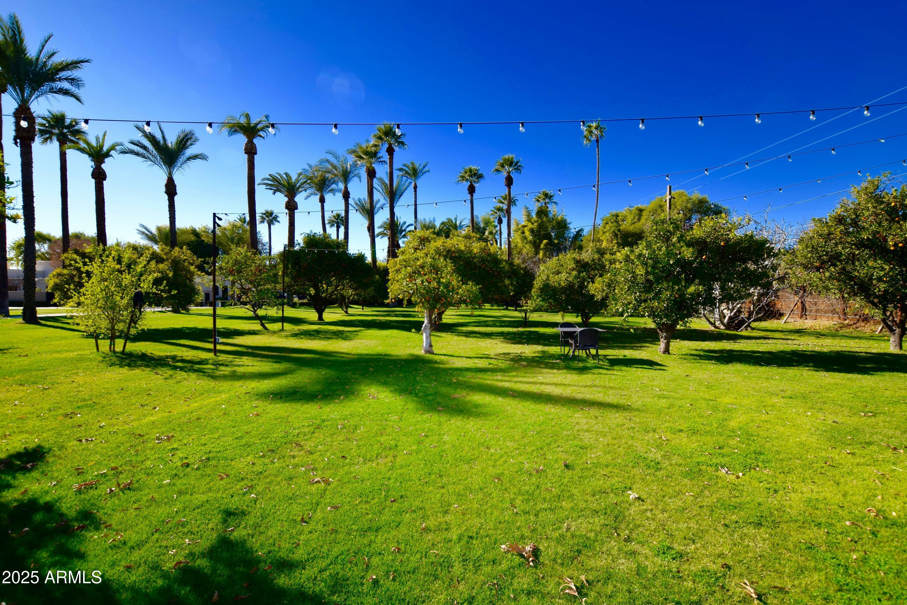 Property Photo: 7249 N Central Avenue AZ 85020