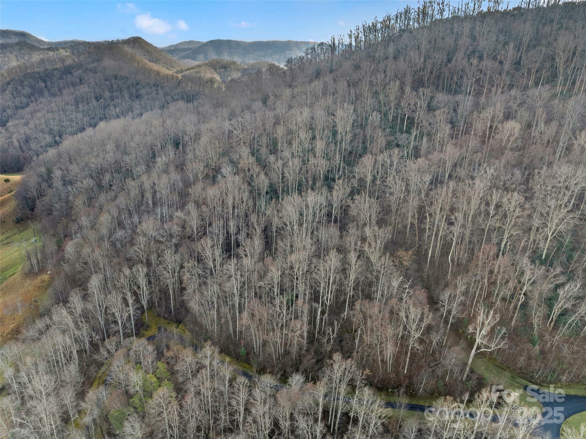Property Photo: 534 Kendal Drive 20 NC 28748
