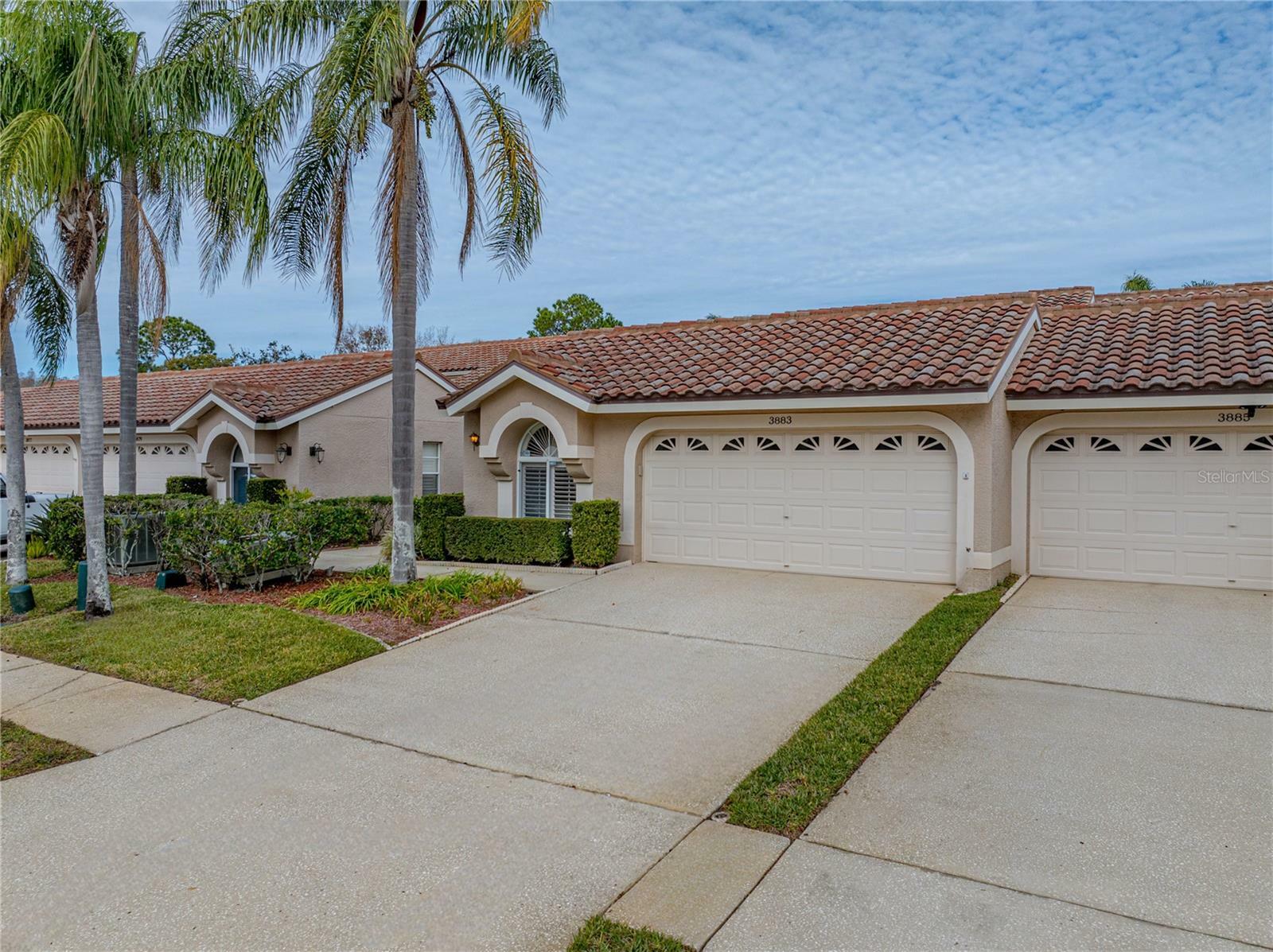 Property Photo: 3883 Darston Street FL 34685