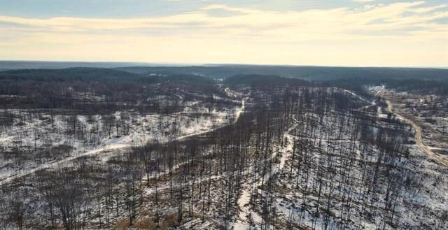 00 Mount Frederic Road  Frederic Twp MI 49733 photo