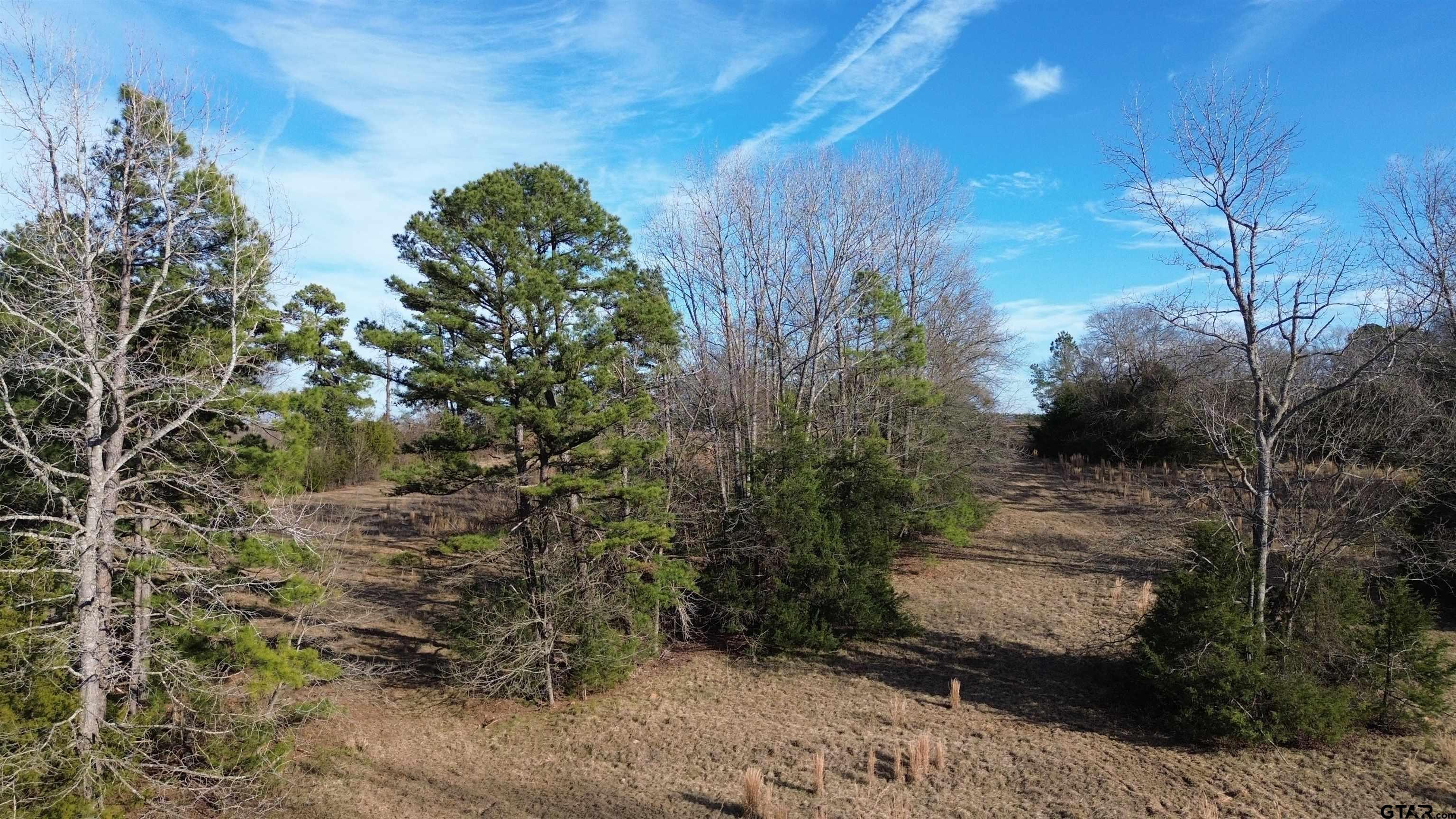 562 County Road 4430  Winnsboro TX 75494 photo