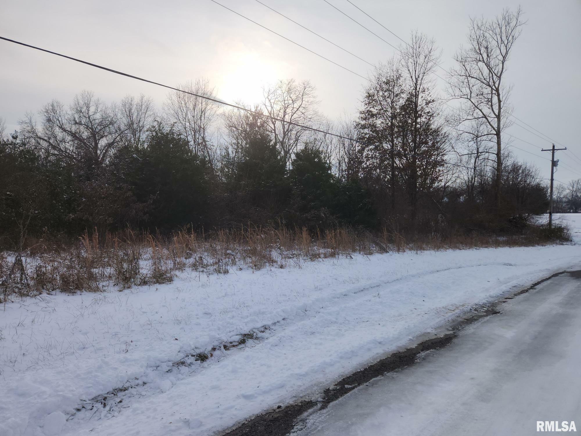 Property Photo:  Lot 5 E Hutchison Road  IL 62864 