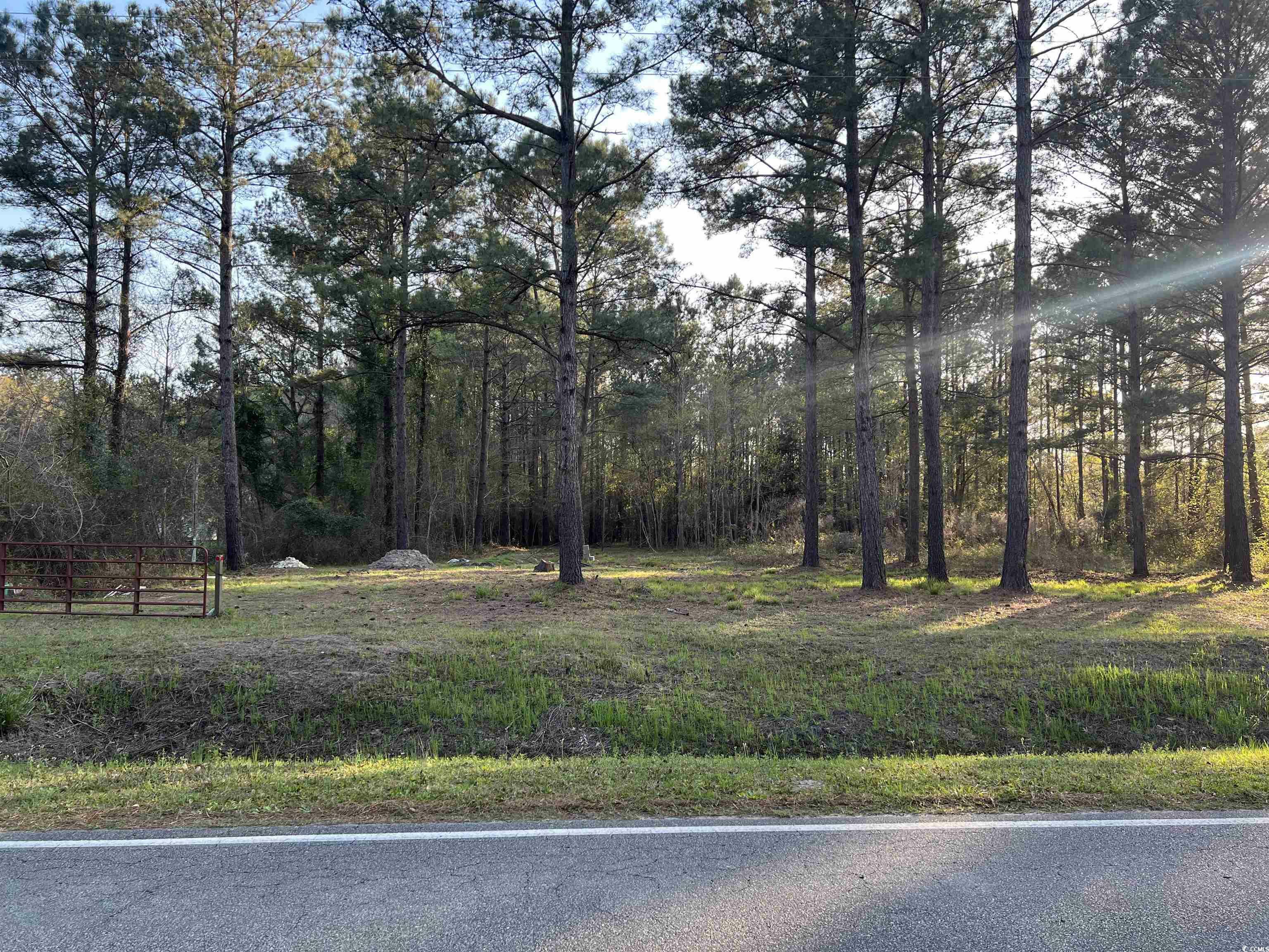 Property Photo:  2108 Lees Landing Circle  SC 29526 