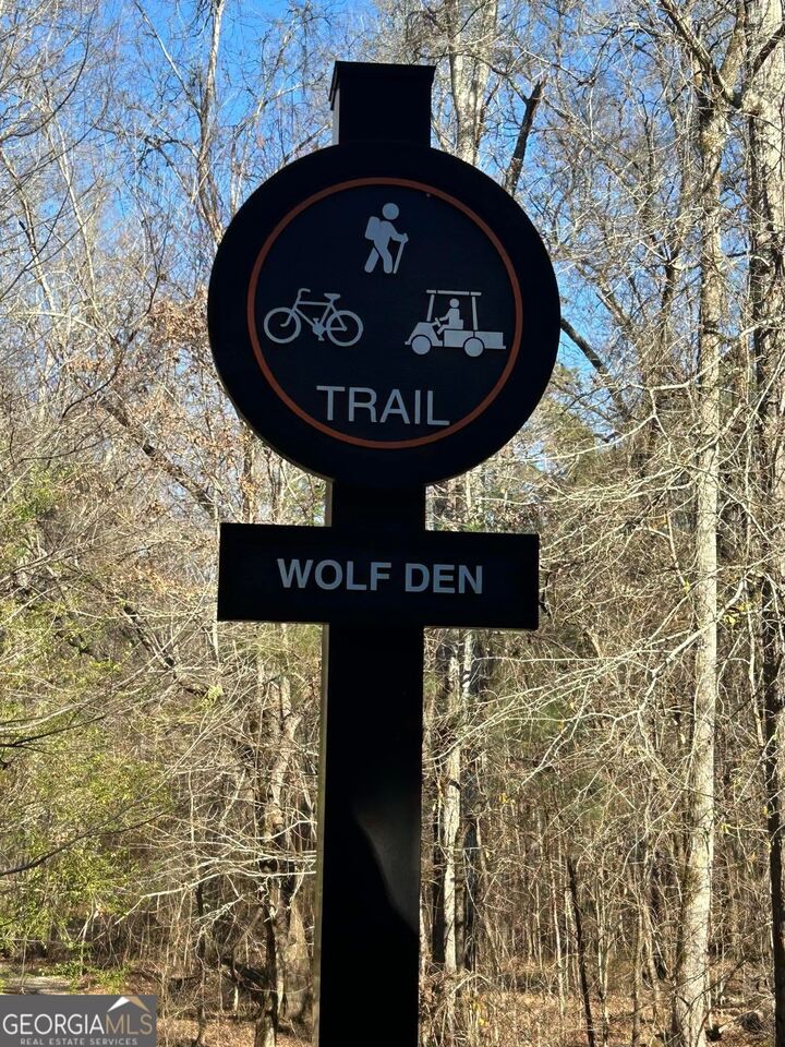 Property Photo: 110 Firefly Run GA 30240