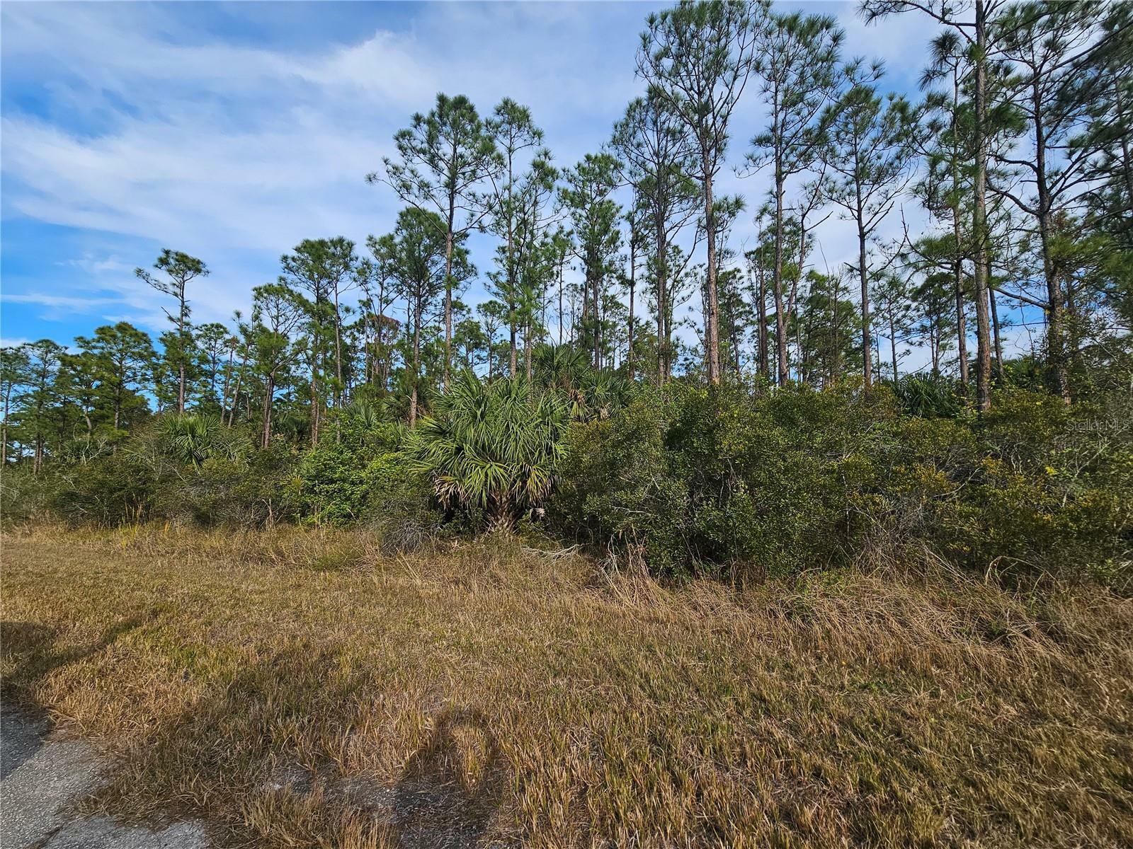 Property Photo:  Blueleaf Drive  FL 34288 