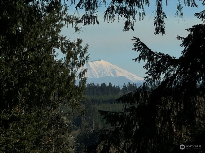 Property Photo: 198 Oppelt Road WA 98532