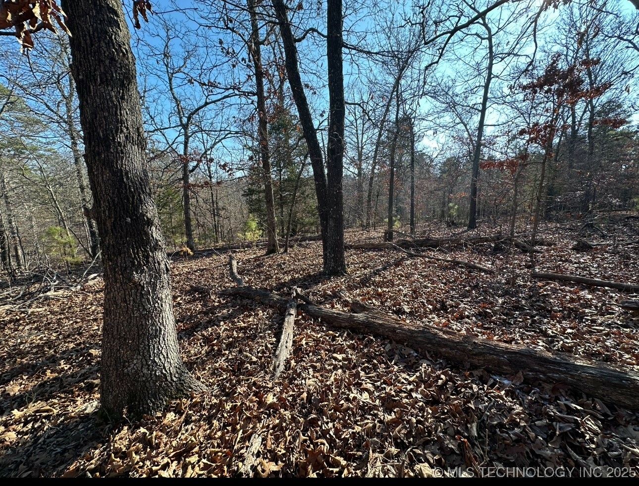 Property Photo:  12674 Shady Ridge Road  OK 74347 