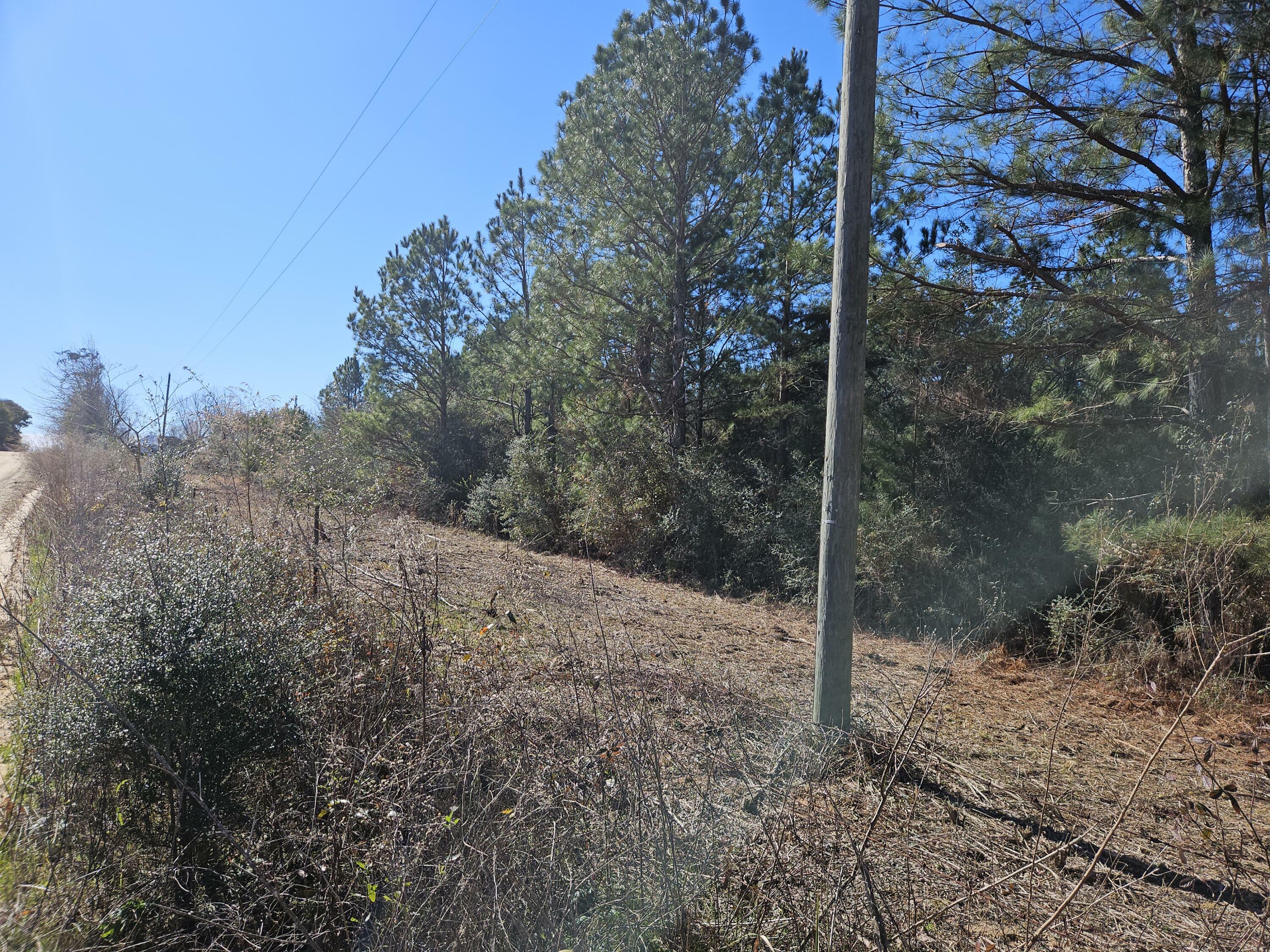 Property Photo:  5.5 Acres Prescott Road  AL 36442 