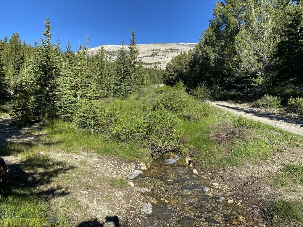 Tbd Trapper Creek Road  Melrose MT 59743 photo