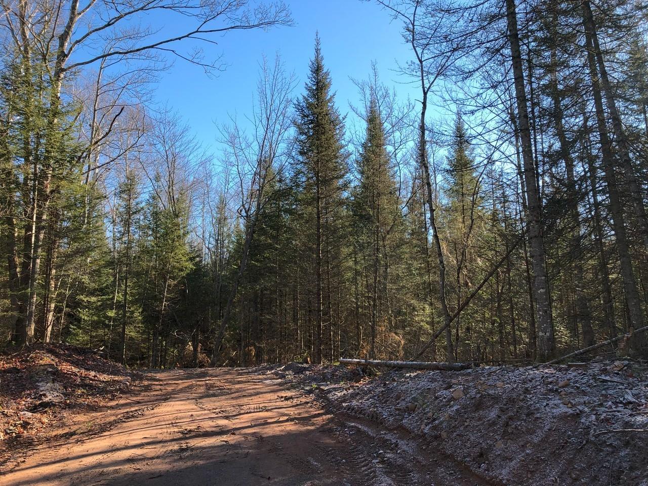 Property Photo:  Off East Bay Rd Lot 6  WI 54557 