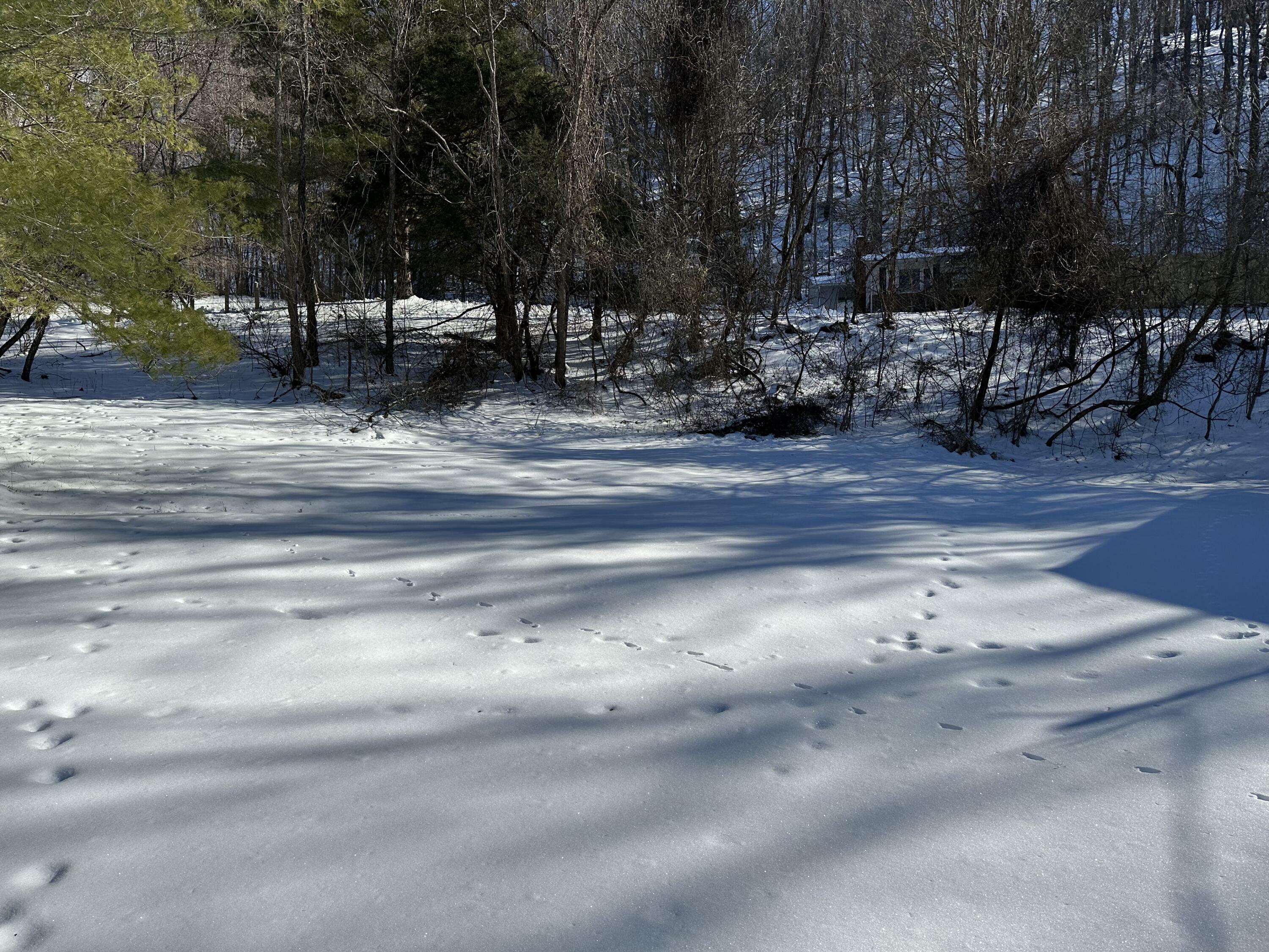 Property Photo:  188 Fullen Cemetery Rd  WV 24970 