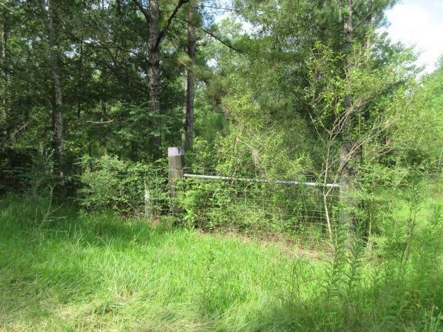 Property Photo: 0 Sandbar Dr Drive TX 77639