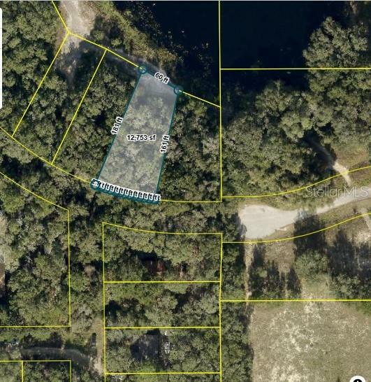 Property Photo:  Tbd Redbud Road  FL 32159 