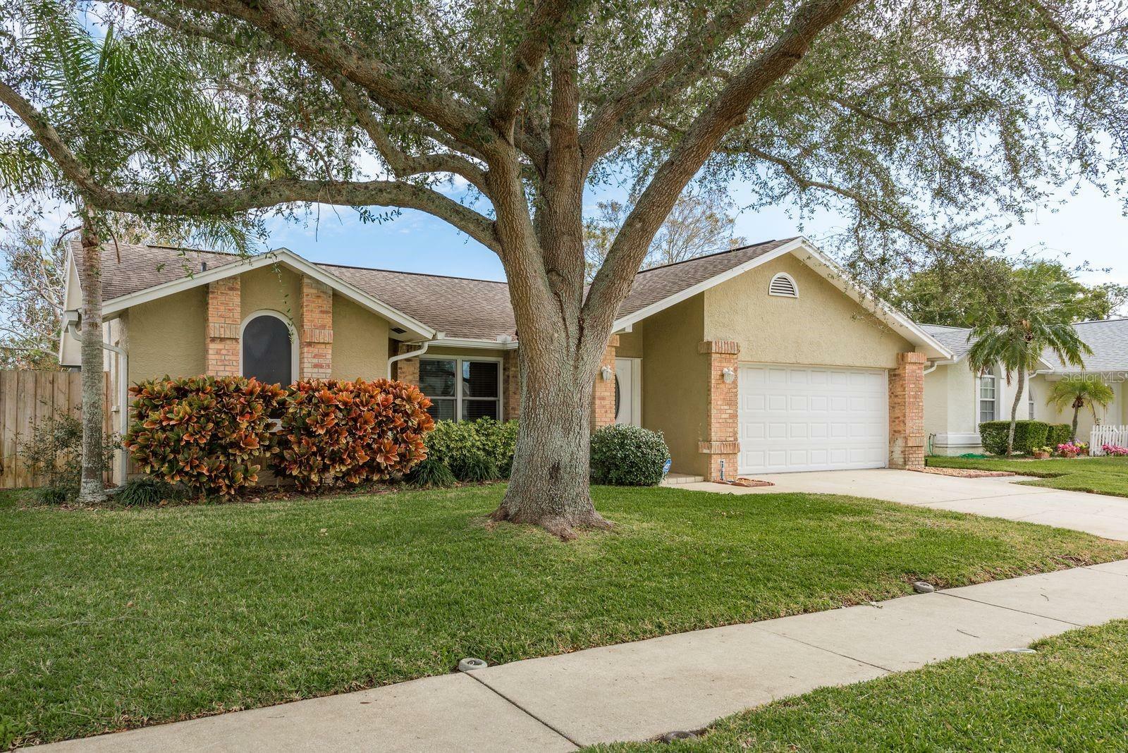 Property Photo: 3048 Orchard Drive FL 34684
