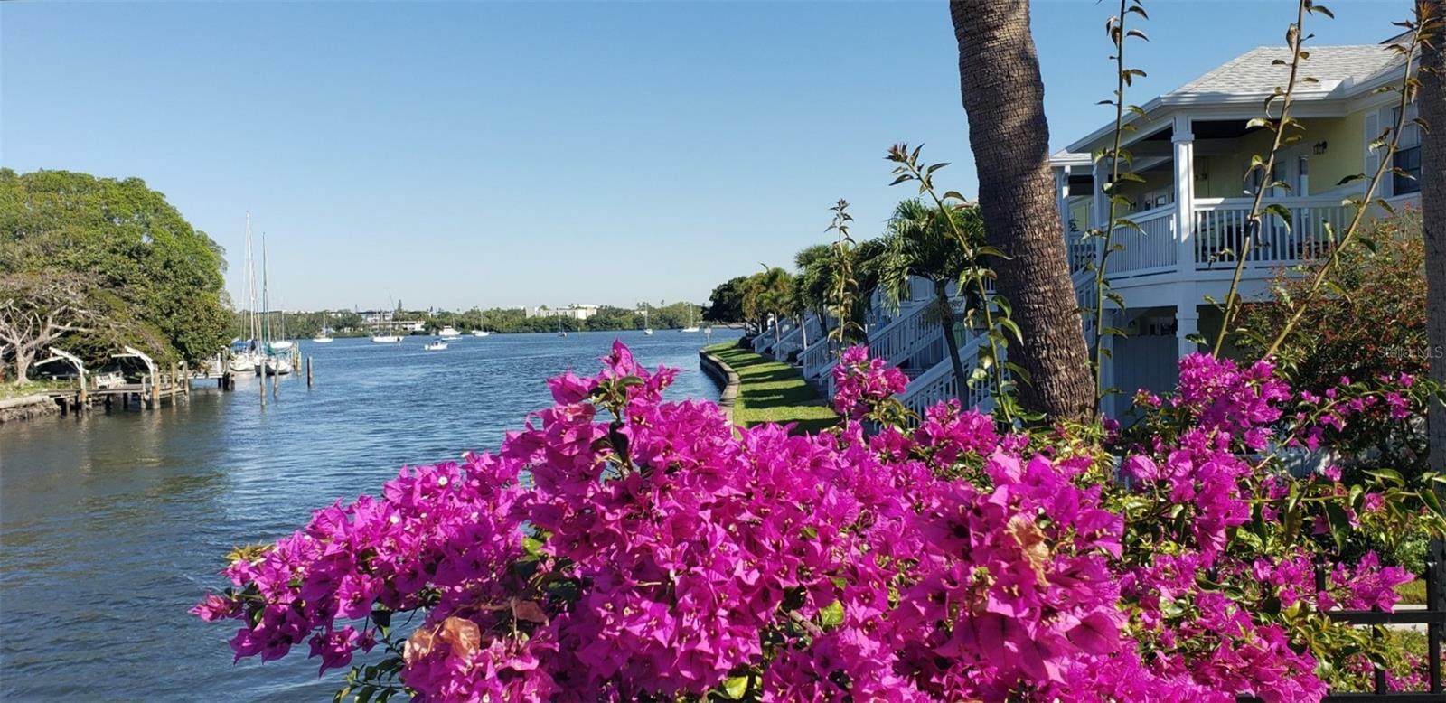 3889 Pompano Drive SE A  St Petersburg FL 33705 photo