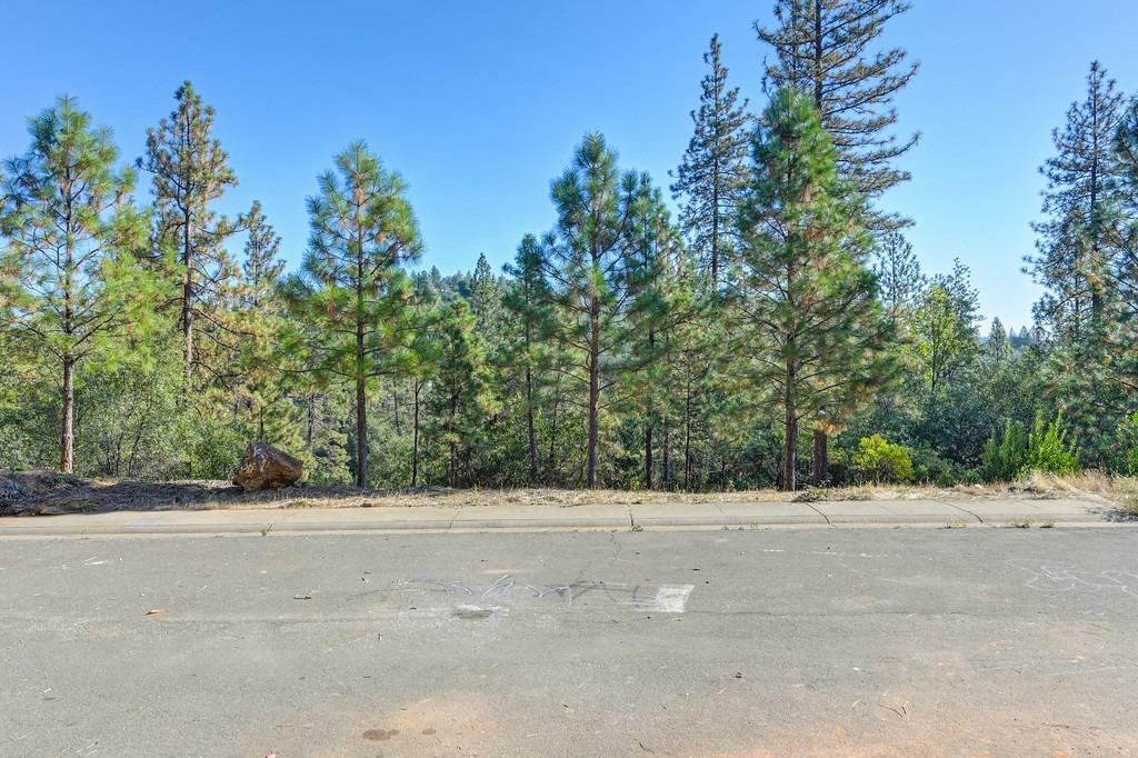 Property Photo:  726 Quartz Mountain Drive  CA 95667 