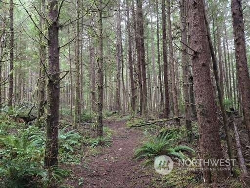 Property Photo:  0 Off Of  Plum Street  WA 98520 