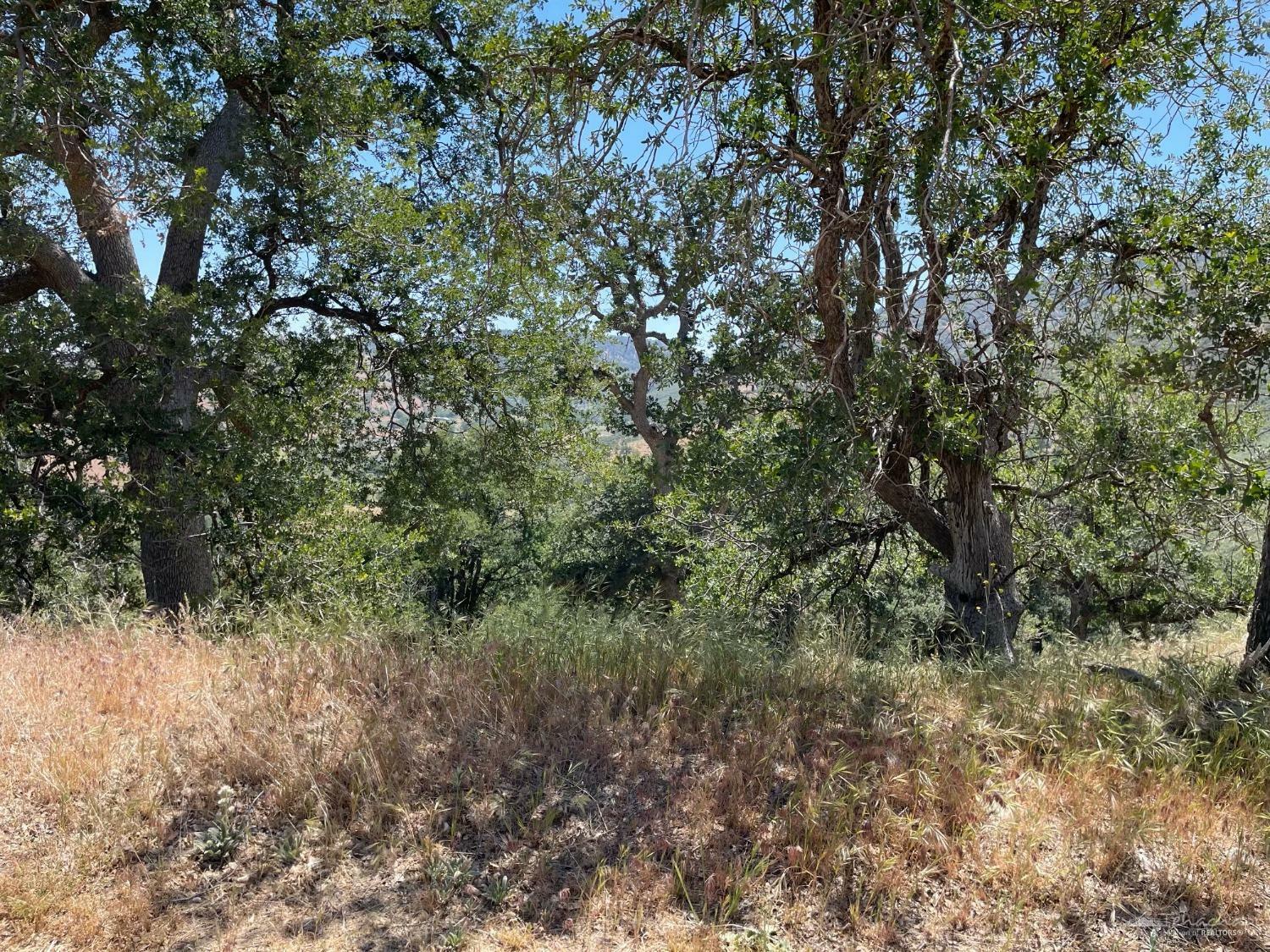 Property Photo: 17480 Saint Moritz Drive CA 93561