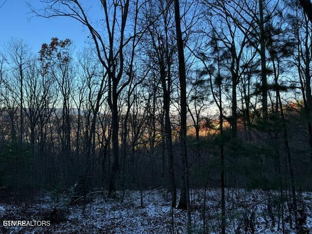 Property Photo: Lot 2 High Ridge Way TN 37862