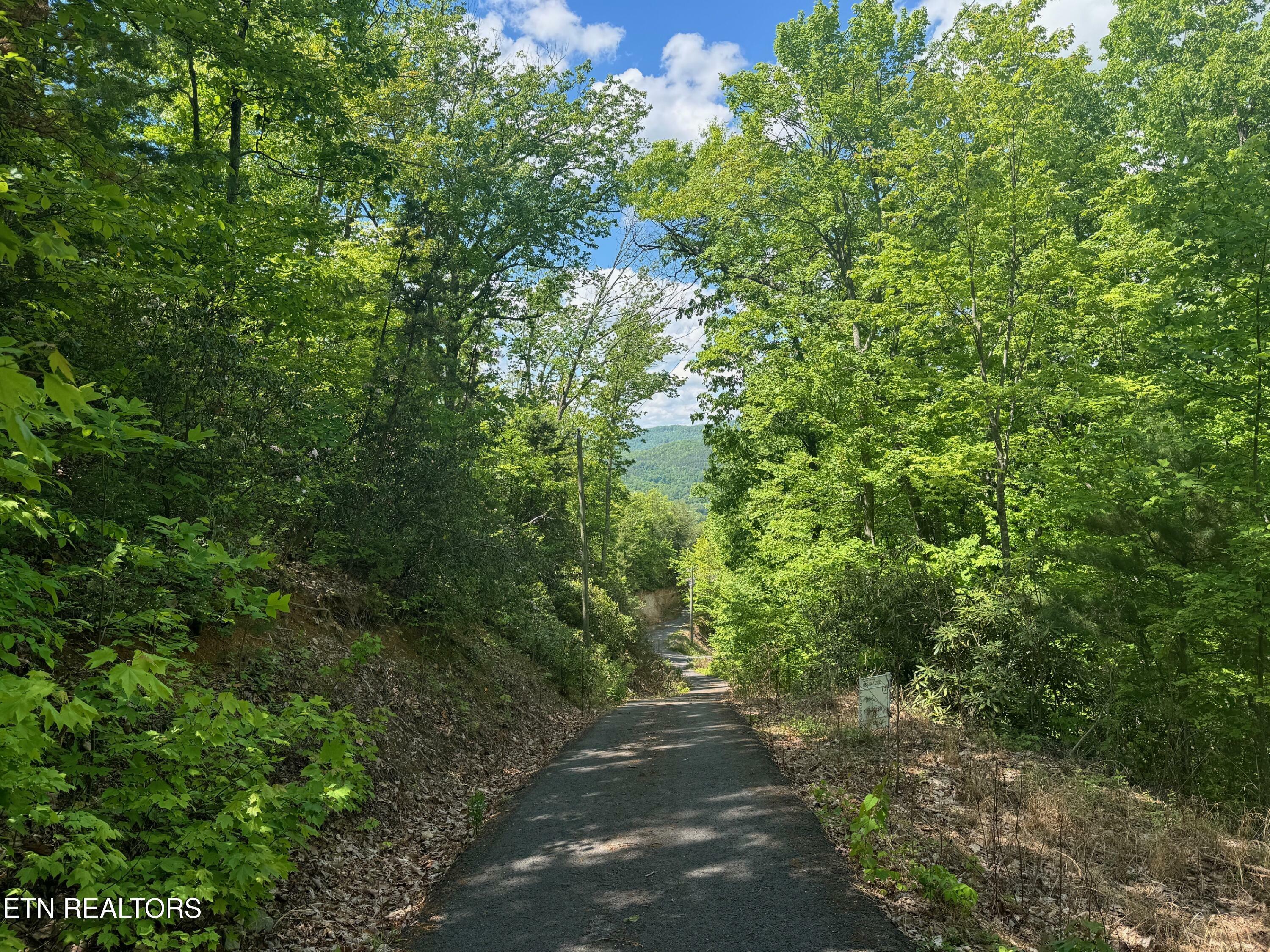 Property Photo: Lot 2 High Ridge Way TN 37862