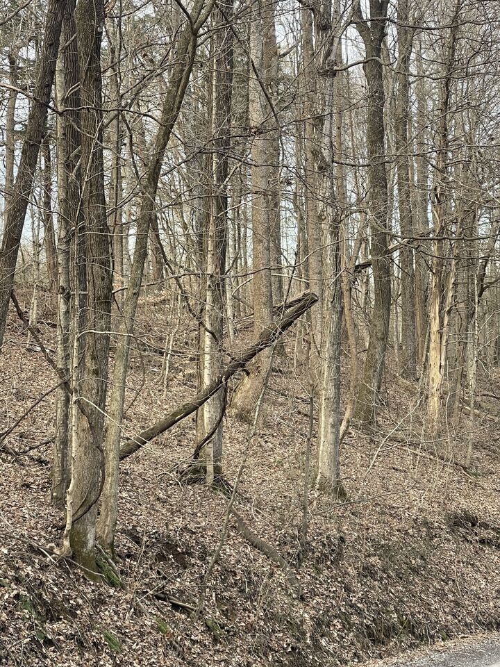 Property Photo:  0 Johns Creek Rd  TN 37083 