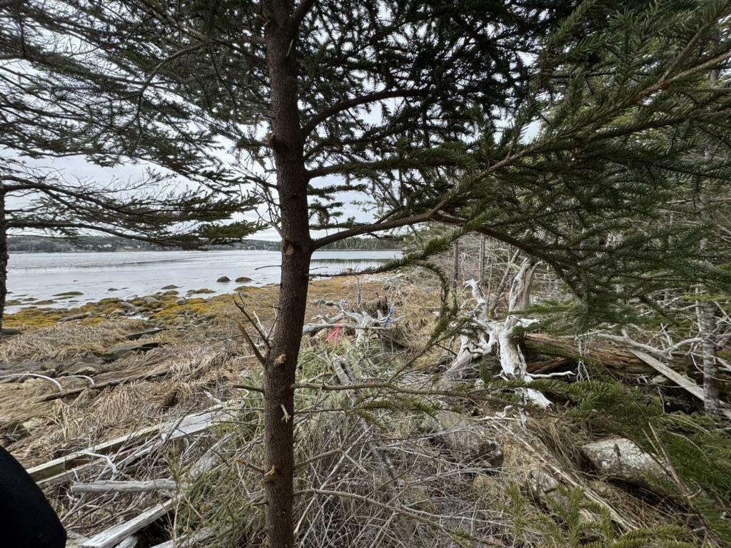 Photo de la propriété:  Lot 4-D West Petpeswick Road  NS B0J 2L0 