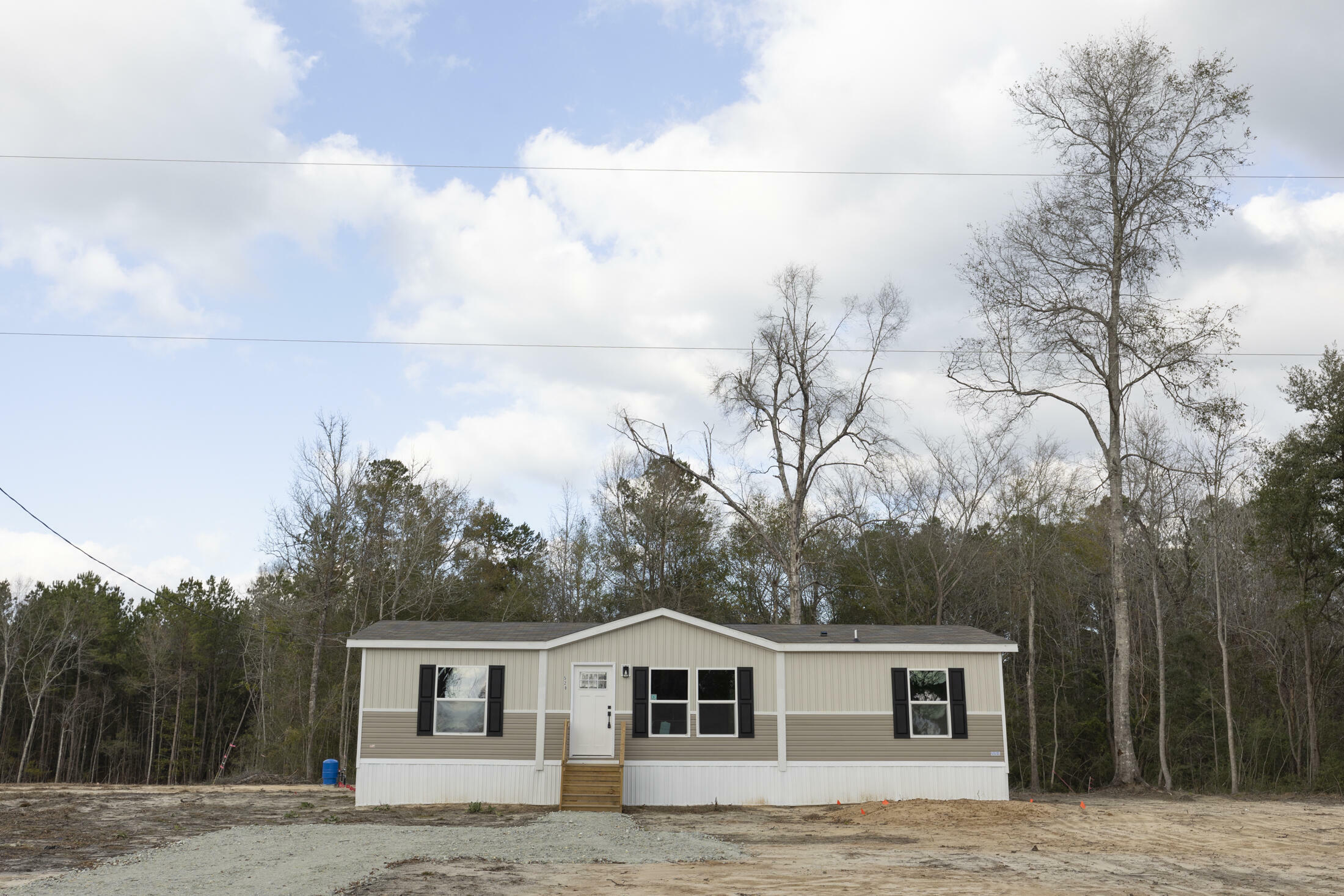 Property Photo:  520 Branch Bend Way  SC 29436 