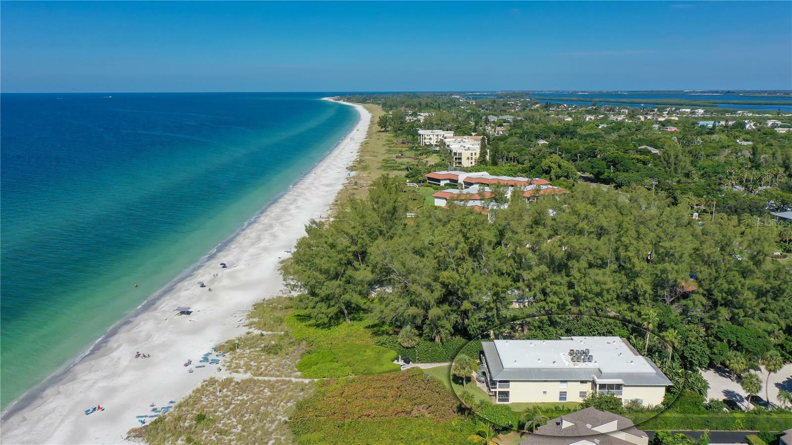 Property Photo:  5311 Gulf Of Mexico Drive 3  FL 34228 