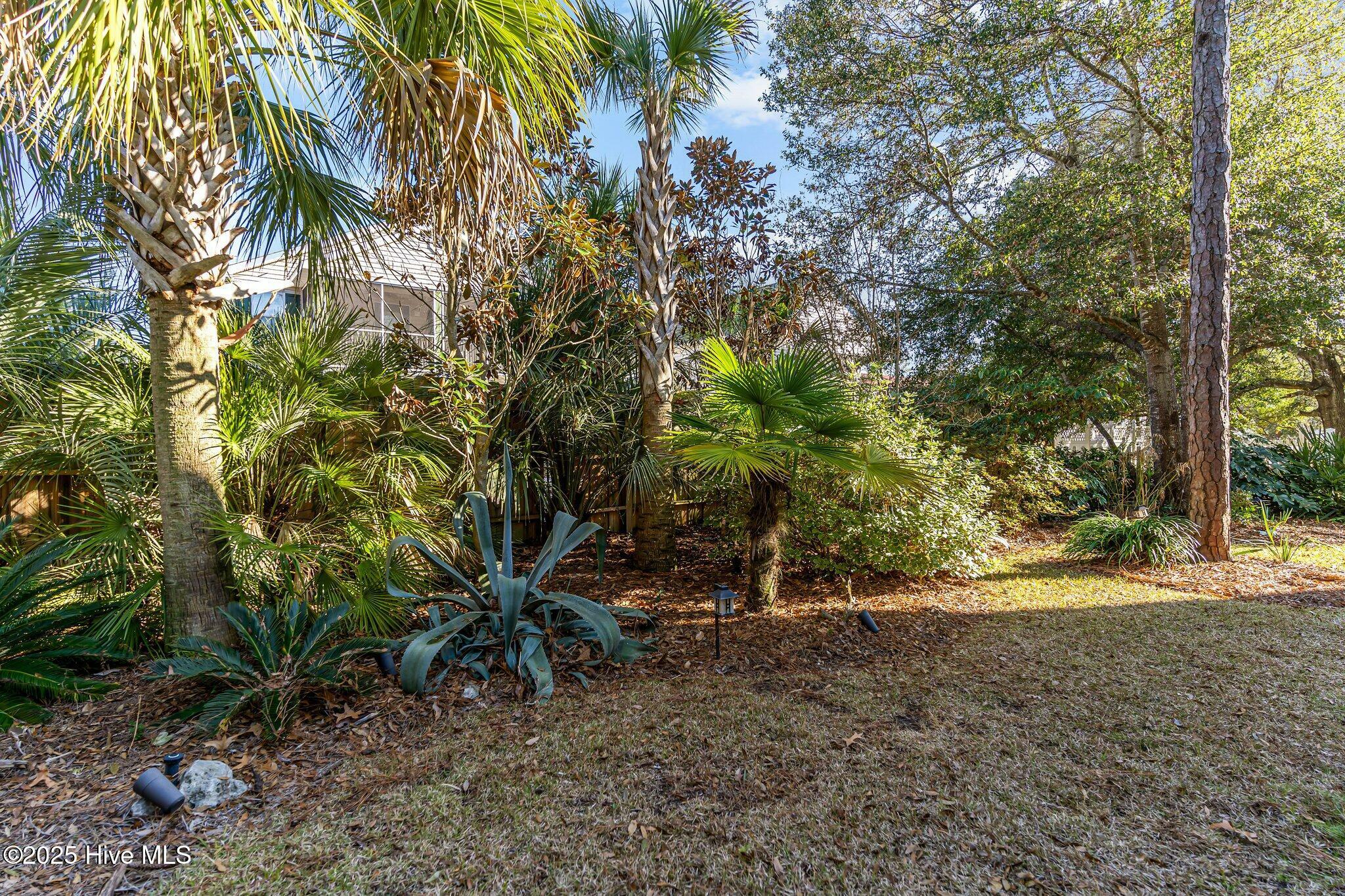 Property Photo:  116 NE 11th Street  NC 28465 